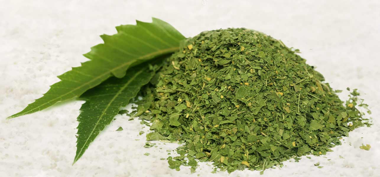 Neem Leaf Leaves High Quality! Free P&P - Select Weight