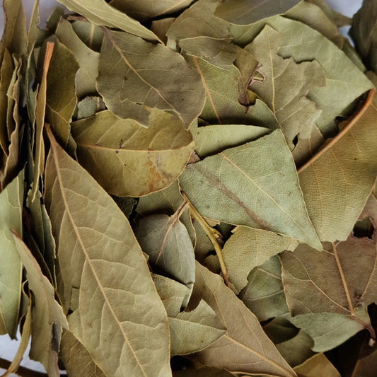 Dried Bay Leaves Whole Dried  Premium Quality