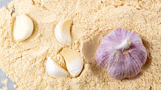 Garlic Ground / Powder A* Grade Premium Quality